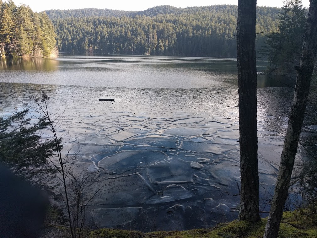 Tranquil lake